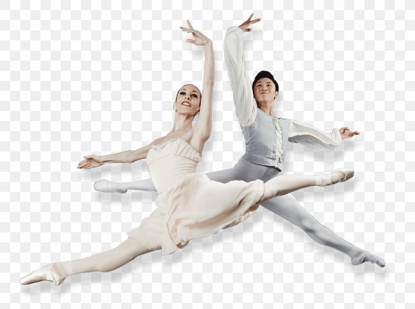 Ballet Dancer Ballet Dancer Choreographer Performing Arts, PNG, 1000x747px, Watercolor, Cartoon, Flower, Frame, Heart Download Free