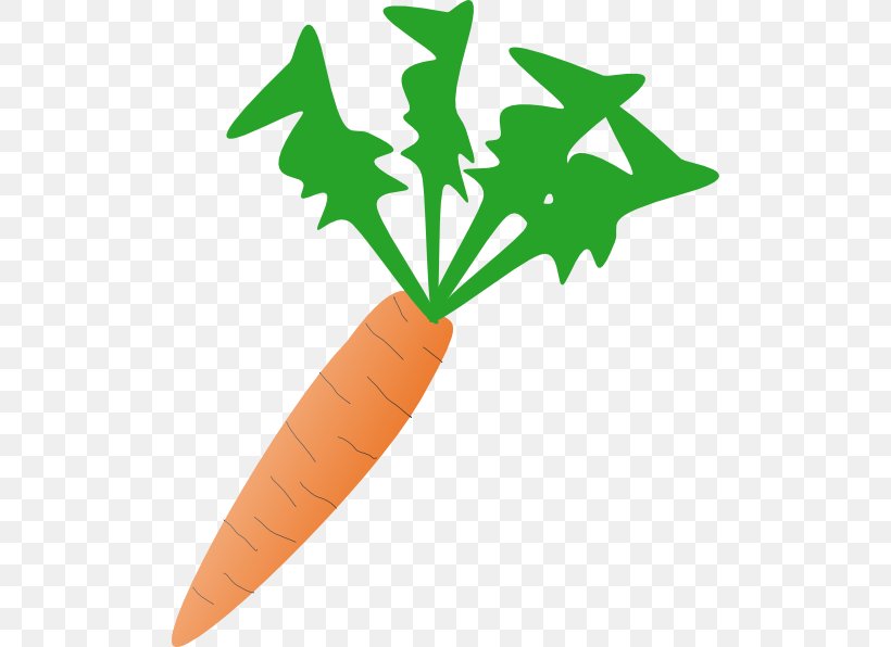 Carrot Vegetable Free Content Clip Art, PNG, 504x596px, Carrot, Food, Food Group, Free Content, Leaf Download Free