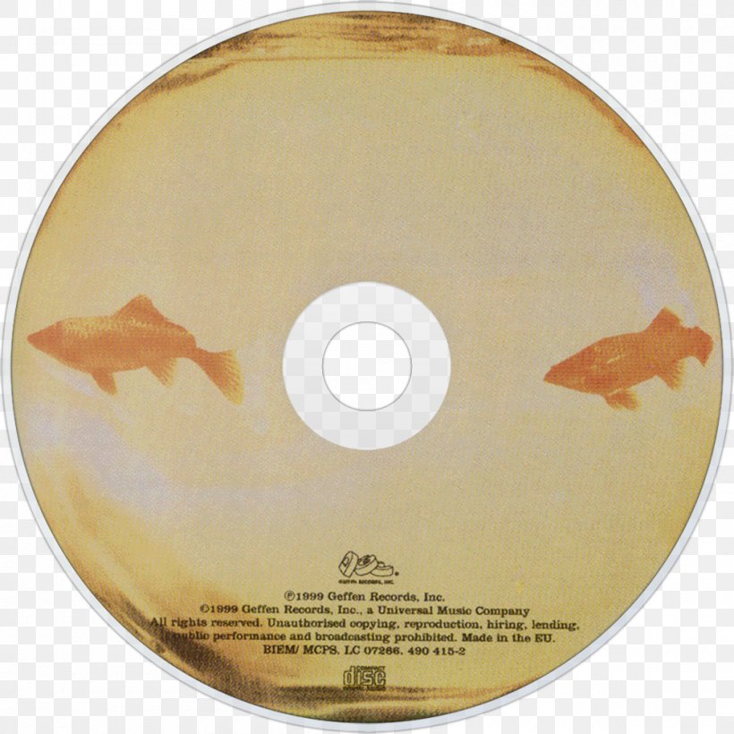 Compact Disc, PNG, 1000x1000px, Compact Disc, Data Storage Device, Dvd Download Free