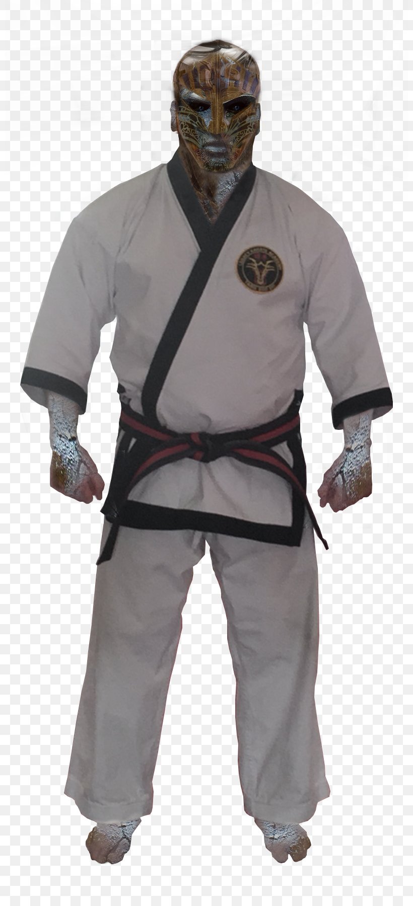 Costume, PNG, 800x1800px, Costume, Dobok, Outerwear Download Free