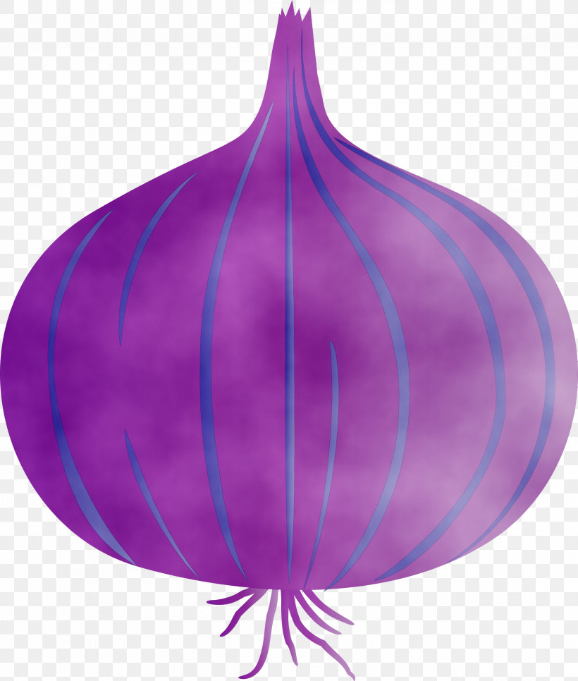 Magenta Plants Magenta Telekom Science Biology, PNG, 2546x3000px, Onion, Biology, Magenta, Magenta Telekom, Paint Download Free