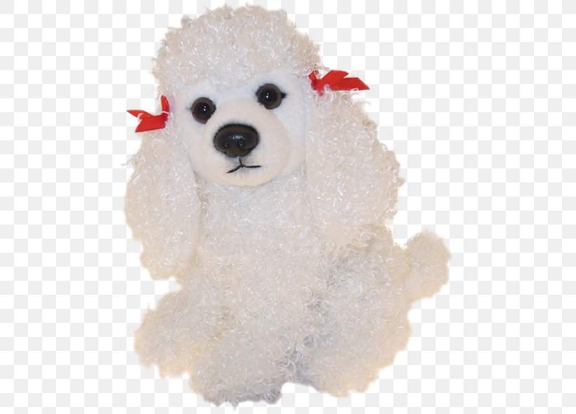 Standard Poodle Miniature Poodle Toy Poodle Maltese Dog Puppy, PNG, 590x590px, Standard Poodle, Bichon, Bolognese, Breed, Carnivoran Download Free