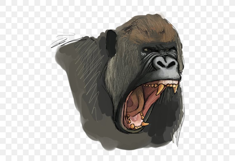 Common Chimpanzee Western Gorilla Snout, PNG, 573x560px, Common Chimpanzee, Chimpanzee, Gorilla, Great Ape, Head Download Free