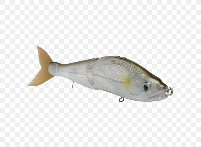 Milkfish Fishing Baits & Lures Fish Products, PNG, 600x600px, Milkfish, Bonito, Bony Fish, Fauna, Fish Download Free