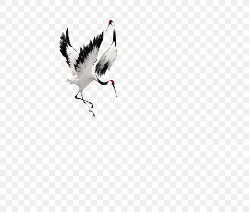 Crane Bucky Barnes Bird, PNG, 500x700px, Crane, Animal, Beak, Bird, Black And White Download Free