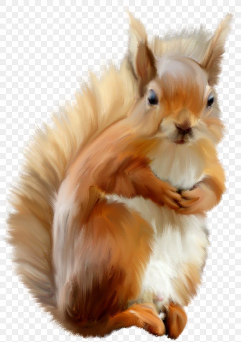 Domestic Rabbit Dog Protein Cat Tree Squirrels, PNG, 1390x1972px, Domestic Rabbit, Animal, Cat, Child, Description Download Free