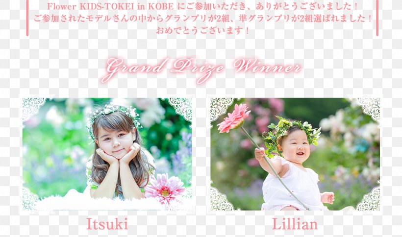 Floral Design Pink M Picture Frames RTV Pink, PNG, 1058x625px, Floral Design, Blossom, Child, Flower, Flower Arranging Download Free