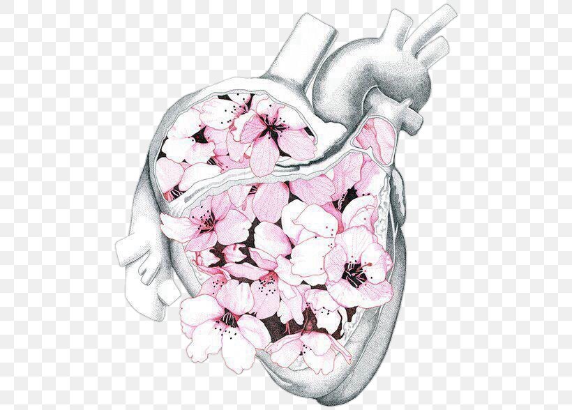 Human Anatomy Heart Human Body, PNG, 500x588px, Watercolor, Cartoon, Flower, Frame, Heart Download Free