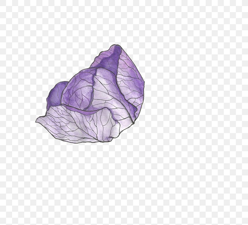 Red Cabbage Vegetable, PNG, 613x744px, Red Cabbage, Agriculture, Brassica Oleracea, Cabbage, Flower Download Free