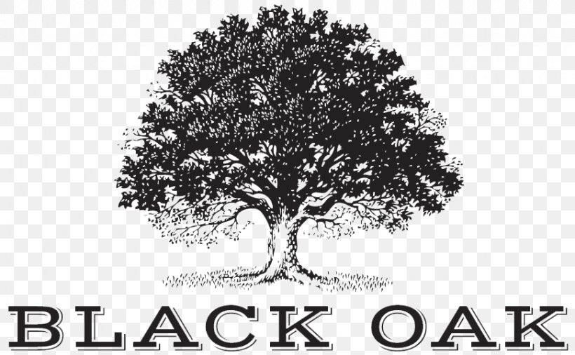 Black Oak Wine BLISS CHAMPIONS Tree Company, PNG, 871x538px, Black Oak, Alcoholic Drink, Black And White, Branch, Company Download Free