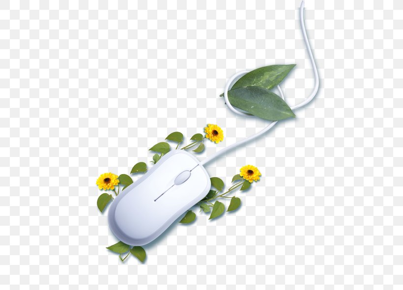 Computer Mouse Fundal Download, PNG, 591x591px, Computer Mouse, Advertising, Fundal, Green, Information Download Free