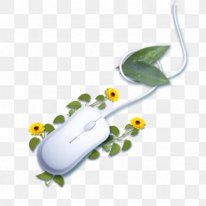 Creative Mouse - Computer Mouse Fundal Download PNG
