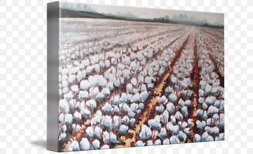 Cotton Fields Desktop Wallpaper Download, PNG, 650x500px, Cotton Fields, Agriculture, Art, Canvas, Commodity Download Free