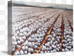 Cotton Fields Desktop Wallpaper Download PNG