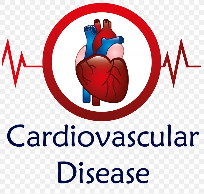Heart Cardiology Medicine Clip Art, PNG, 900x859px, Watercolor, Cartoon, Flower, Frame, Heart Download Free