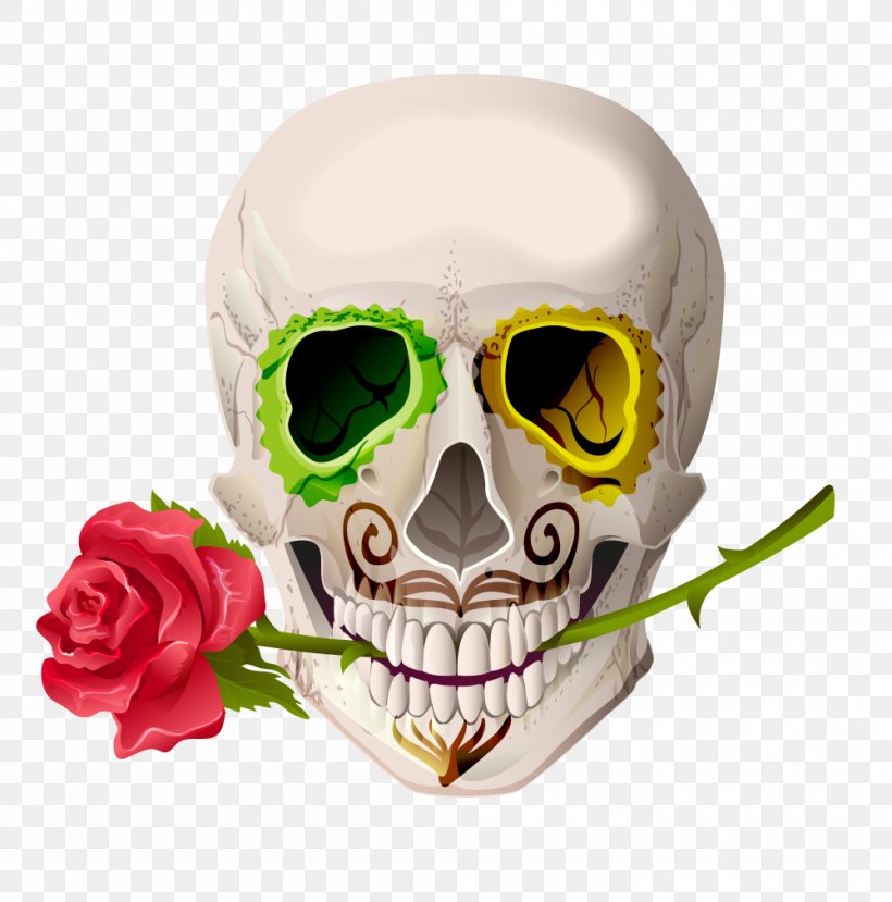 Skull Cinco De Mayo Euclidean Vector Illustration, PNG, 1000x1011px, Skull, Bone, Cinco De Mayo, Day Of The Dead, Eyewear Download Free