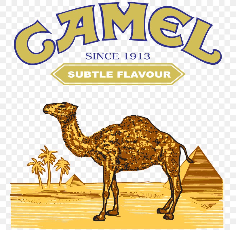 Dromedary Bactrian Camel Logo, PNG, 755x800px, Dromedary, Arabian Camel, Bactrian Camel, Brand, Camel Download Free