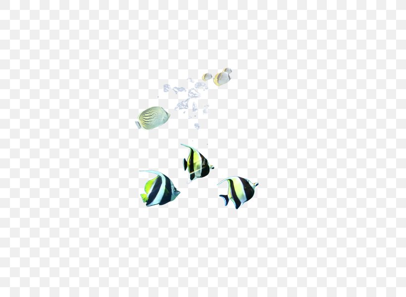 Fish Euclidean Vector Seabed, PNG, 600x600px, Fish, Aquatic Plants, Bottom Fishing, Color, Deep Sea Creature Download Free