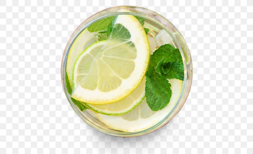 Lemon Balm Lemon Beebalm Water Ionizer Alkaline Diet, PNG, 500x500px, Lemon, Alkaline Diet, Citric Acid, Citrus, Cooking Download Free