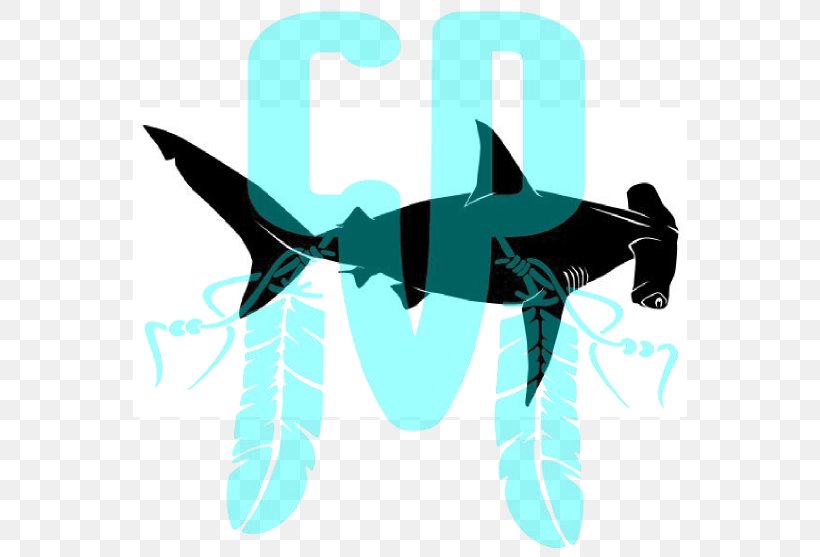 Shark Logo Teal Font, PNG, 554x557px, Shark, Cartilaginous Fish, Dolphin, Fish, Logo Download Free