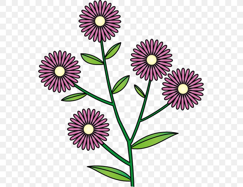 Common Daisy Chrysanthemum Floral Design Clip Art Flower, PNG, 561x633px, Common Daisy, Aster, Birth Flower, Chrysanthemum, Chrysanths Download Free