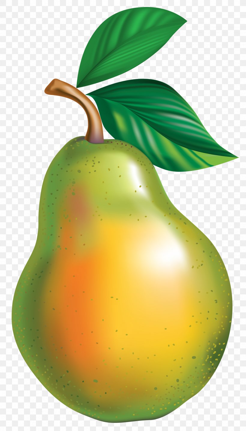 Asian Pear Fruit Clip Art, PNG, 2367x4144px, Asian Pear, Animation, Apple, Food, Fruit Download Free