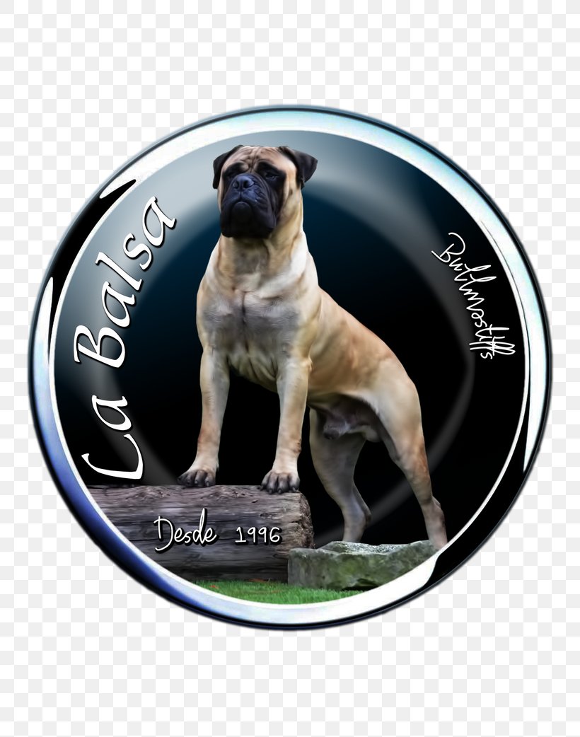 Dog Breed Pug Bullmastiff Boerboel Snout, PNG, 814x1042px, Dog Breed, Boerboel, Breed, Bullmastiff, Carnivoran Download Free