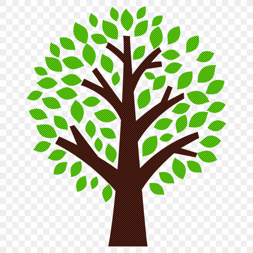 Leaf Green Tree Plant Line, PNG, 1200x1200px, Broadleaf Tree, Branch, Cartoon Tree, Green, Leaf Download Free