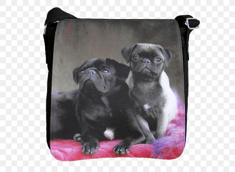 Pug Boston Terrier Puppy Dog Breed Toy Dog, PNG, 600x600px, Pug, Bag, Boston Terrier, Breed, Carnivoran Download Free