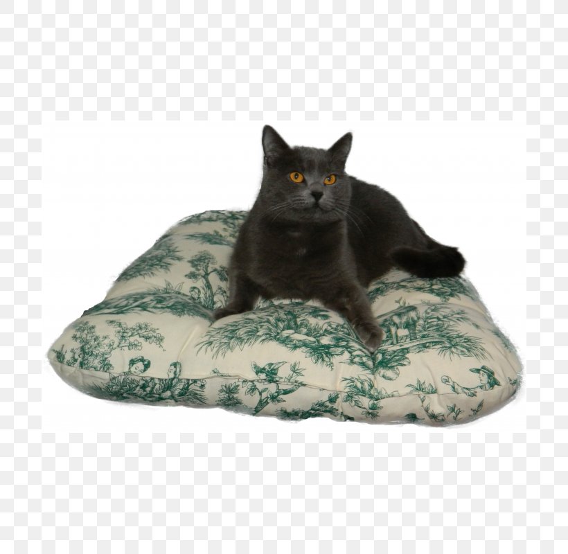 Cushion Table Toile Tuffet Bedroom, PNG, 700x800px, Cushion, Bed, Bedroom, Black Cat, Blanket Download Free