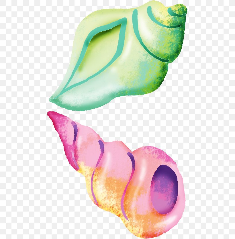 Seashell Conch Sea Snail, PNG, 489x836px, Seashell, Conch, Designer, Organism, Painting Download Free