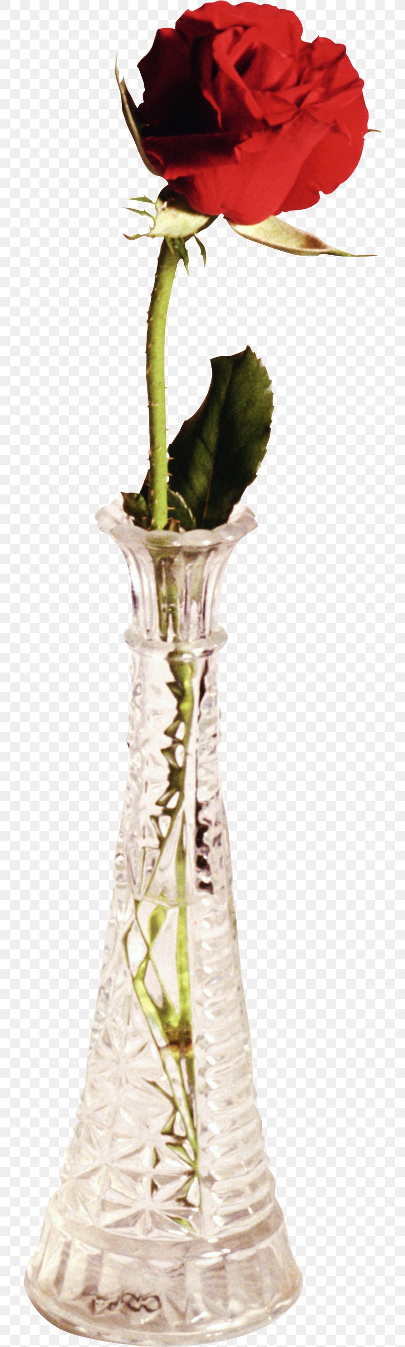 Vase Flower Bouquet Garden Roses, PNG, 726x2724px, Vase, Artifact, Beach Rose, Cup, Cut Flowers Download Free