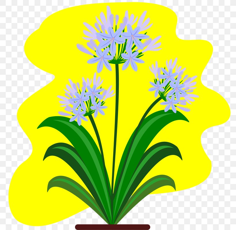 Cut Flowers Lily Of The Nile Plant Clip Art, PNG, 800x800px, Cut Flowers, Flora, Floral Design, Flower, Flowering Plant Download Free