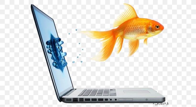 Laptop Computer Monitors Hewlett-Packard Responsive Web Design, PNG, 600x450px, Laptop, Advertising, Computer, Computer Monitors, Fish Download Free