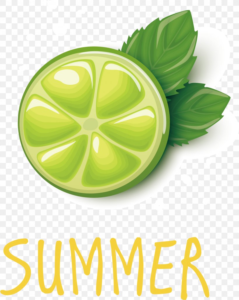 Lime Lemon Grapefruit Juice Pomelo, PNG, 1668x2099px, Lime, Citric Acid, Citrus, Designer, Food Download Free