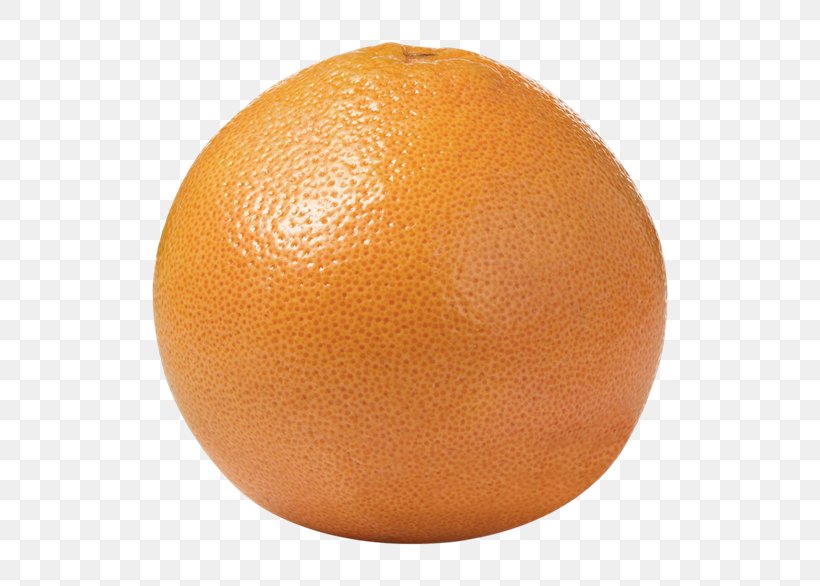 Valencia Orange Mandarin Orange Tangerine Grapefruit, PNG, 600x586px, Valencia Orange, Acid, Bitter Orange, Citric Acid, Citrus Download Free