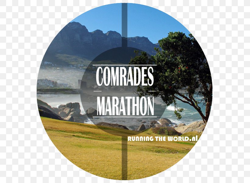Comrades Marathon Boston Marathon South Africa Ultramarathon, PNG, 600x600px, Comrades Marathon, Boston Marathon, Grass, Human Spirit, Marathon Download Free