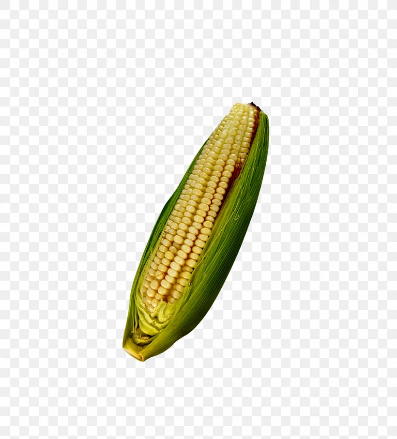 Corn On The Cob Maize Cereal Computer File, PNG, 1518x1680px, Corn On The Cob, Caryopsis, Cereal, Commodity, Five Grains Download Free