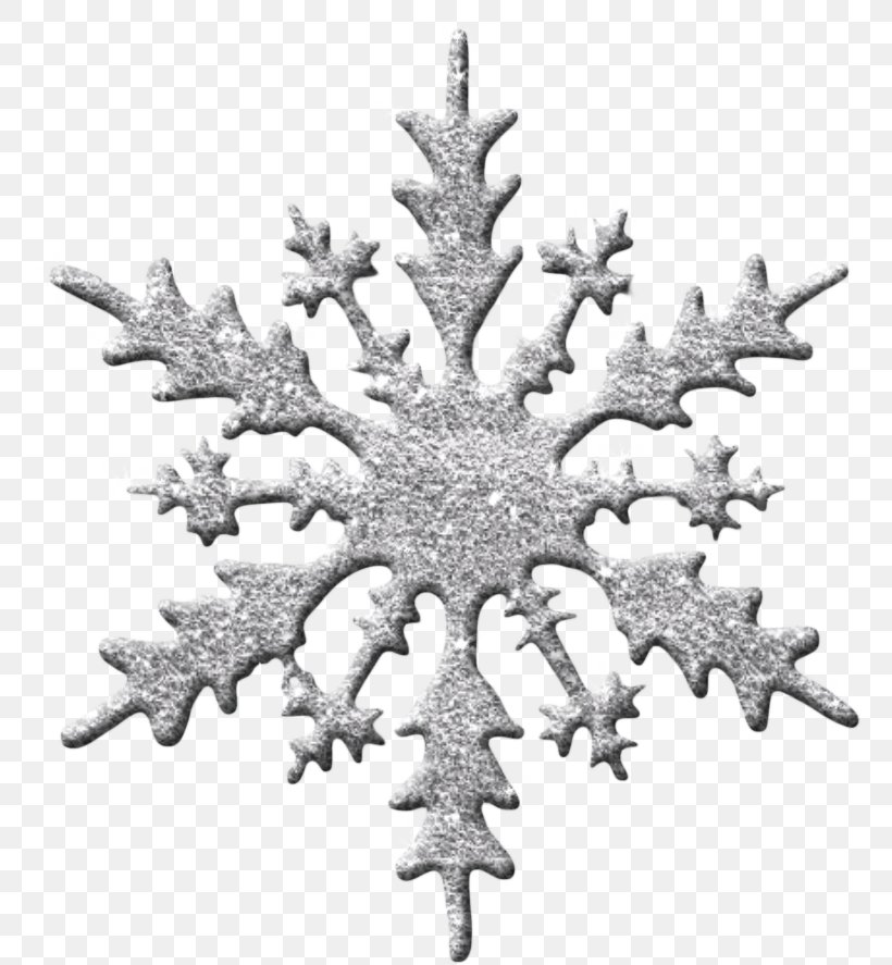 Snowflake Clip Art, PNG, 769x887px, Snowflake, Black And White, Christmas, Christmas Decoration, Christmas Ornament Download Free