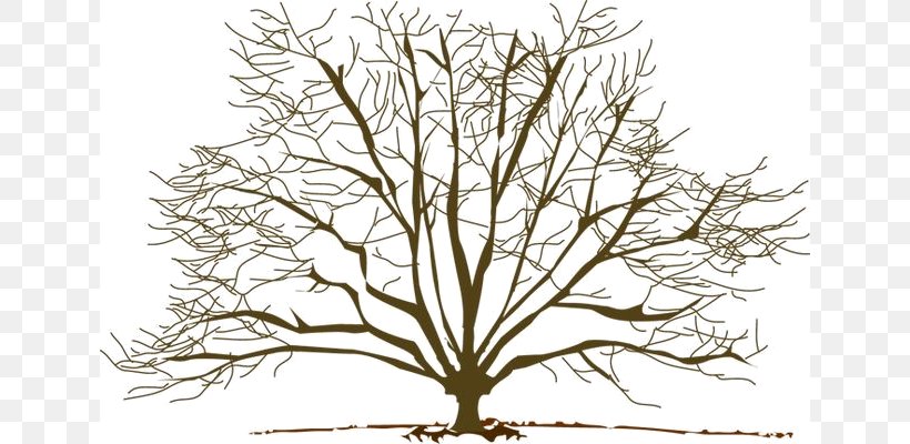 Tree Branch Autumn Clip Art, PNG, 640x400px, Tree, Autumn, Black And White, Branch, Drawing Download Free