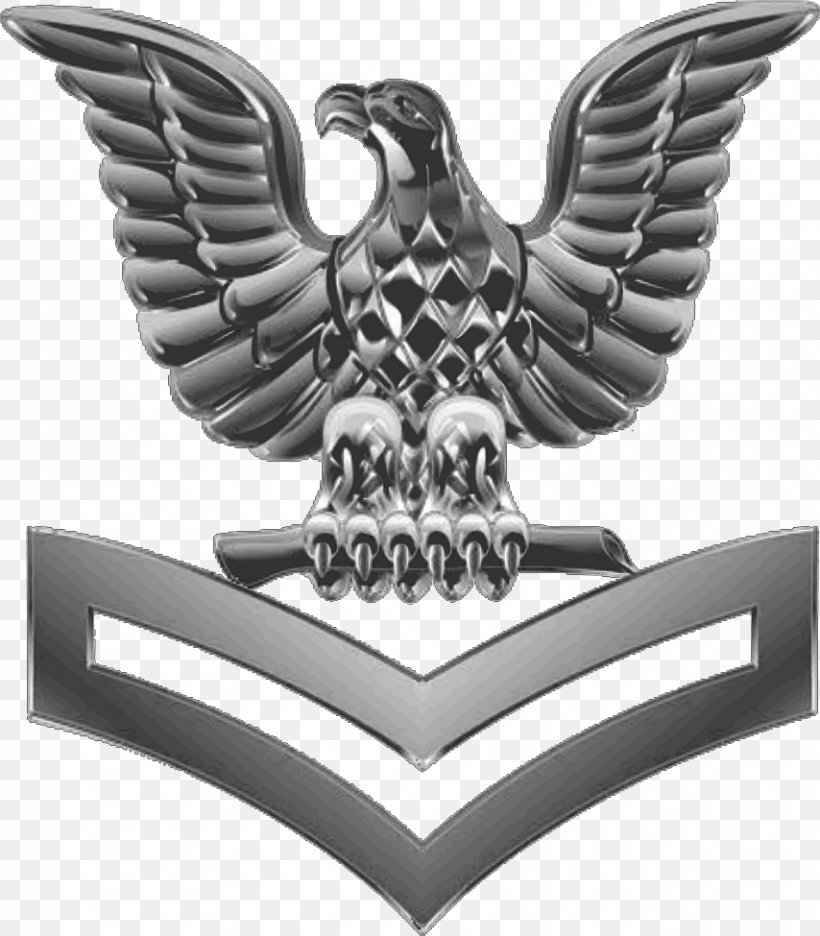 Petty Officer First Class United States Navy Petty Officer Third Class Petty Officer Second Class, PNG, 854x975px, Petty Officer First Class, Army Officer, Bird, Bird Of Prey, Chief Petty Officer Download Free