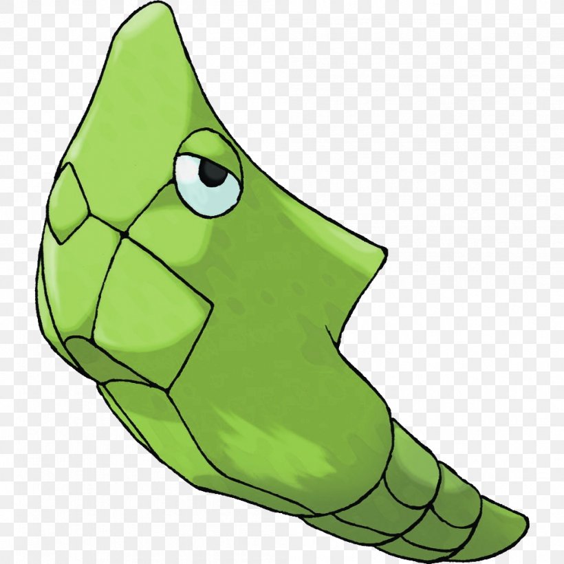 Pokémon Adventures Metapod Brock Caterpie Butterfree, PNG, 998x998px, Metapod, Amphibian, Brock, Bulbasaur, Butterfree Download Free