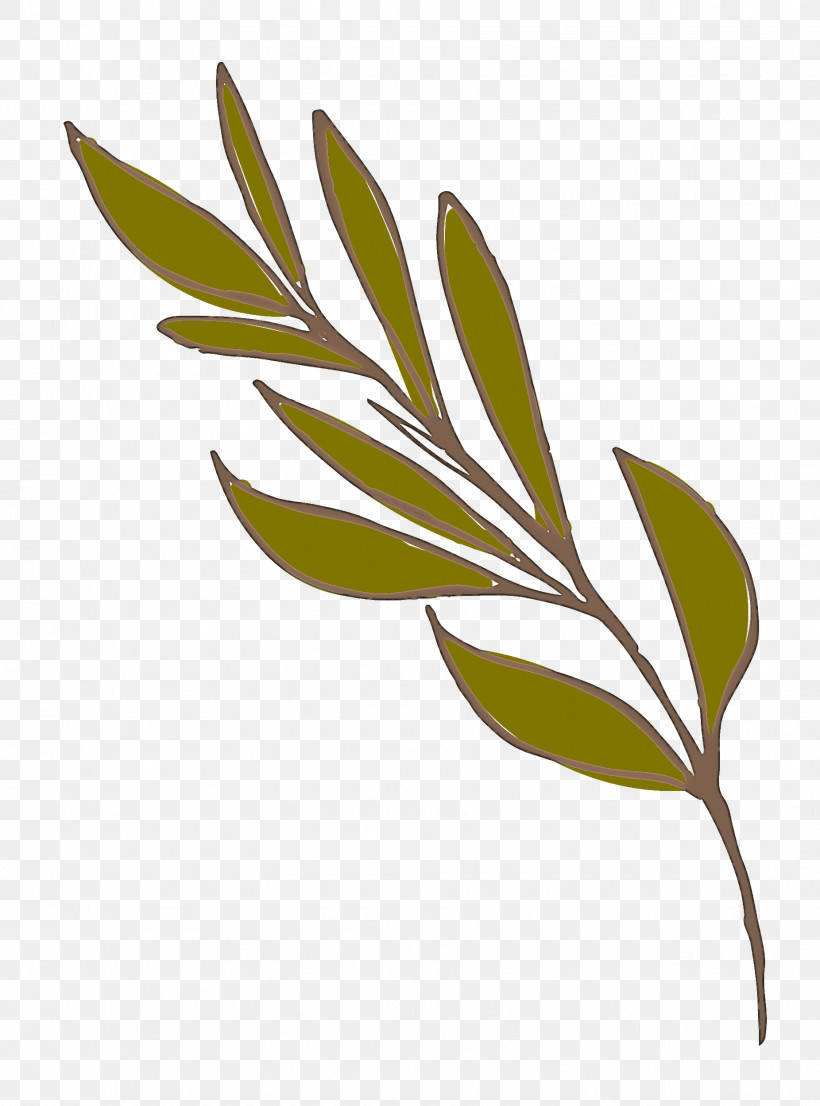 Leaf Plant Stem Twig Tree Flower, PNG, 1852x2500px, Fun, Biology, Cartoon, Cool, Flower Download Free