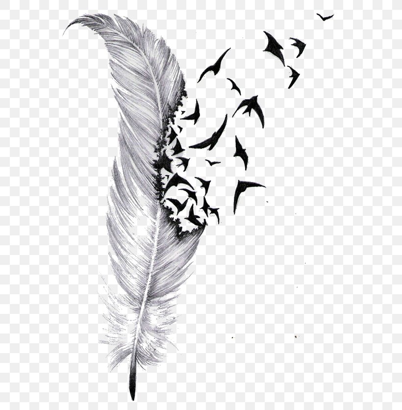 Bird Tattoo Feather Cover-up Drawing, PNG, 565x836px, Bird, Art, Beak, Bird Flight, Black And White Download Free