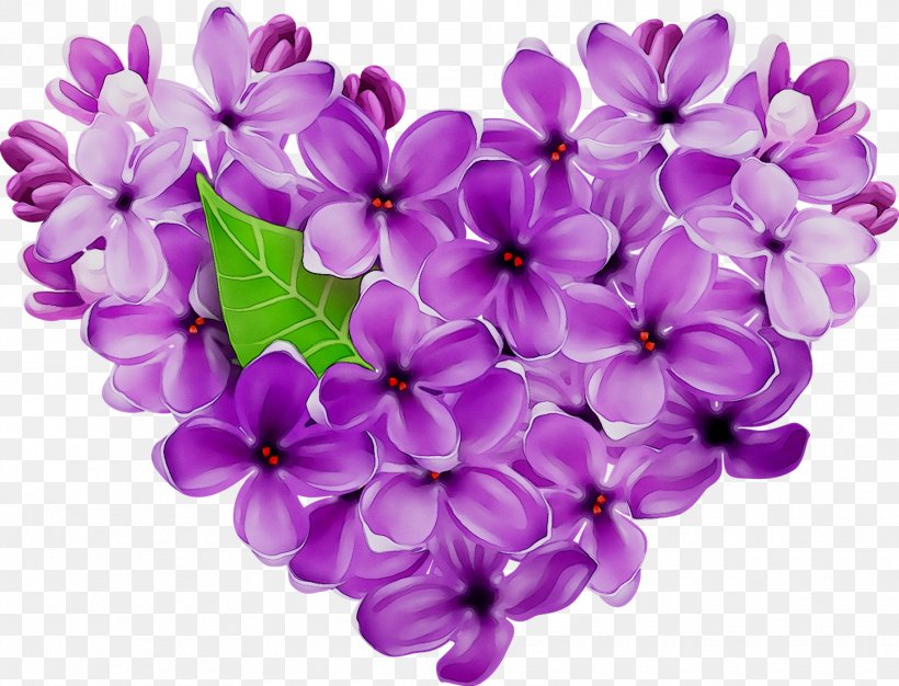 Cut Flowers, PNG, 1830x1398px, Cut Flowers, Flower, Flowering Plant, Impatiens, Lavender Download Free