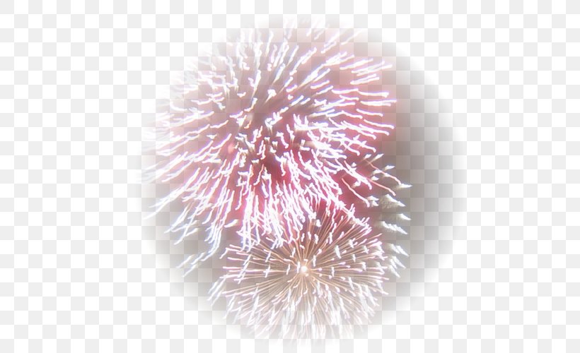 Fireworks Pyrotechnics Birthday Image, PNG, 500x500px, Fireworks, Animation, Artificier, Birthday, Centerblog Download Free