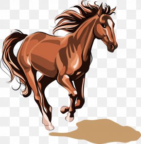 Horse Images, Horse Transparent PNG, Free download