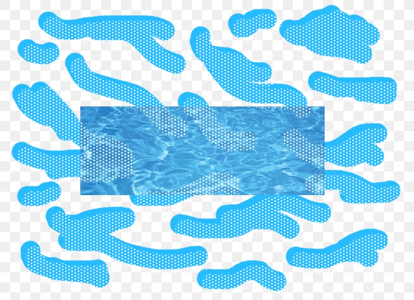 Marine Mammal Animation Line Font, PNG, 794x595px, Marine Mammal, Animation, Aqua, Azure, Blue Download Free