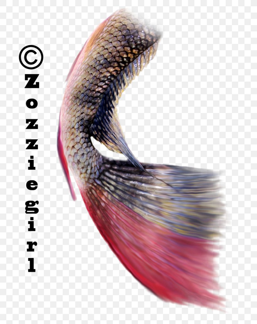 Mermaid Tail Drawing Clip Art, PNG, 774x1032px, Mermaid, Art, Close Up, Drawing, Eyelash Download Free