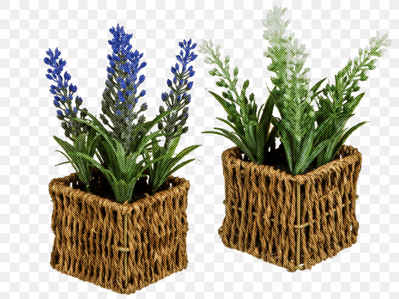 Rosemary, PNG, 945x709px, Flowerpot, Aquarium Decor, Flower, Grass, Herb Download Free